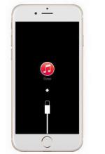 11996904_959909357383697_369317442262909645_n