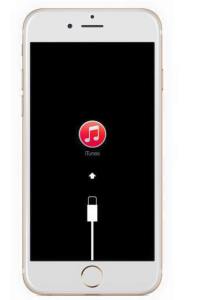 11996904_959909357383697_369317442262909645_n